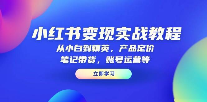 （13923期）小红书变现实战教程：从小白到精英，产品定价，笔记带货，账号运营等-来友网创