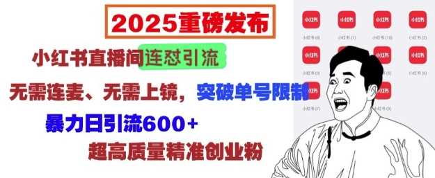 2025重磅发布：小红书直播间连怼引流，无需连麦、无需上镜，突破单号限制，暴力日引流600+-来友网创