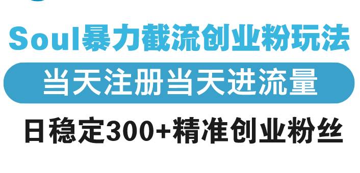 （13935期）Soul暴力截流创业粉玩法，当天注册当天进流量，日稳定300+精准创业粉丝-来友网创