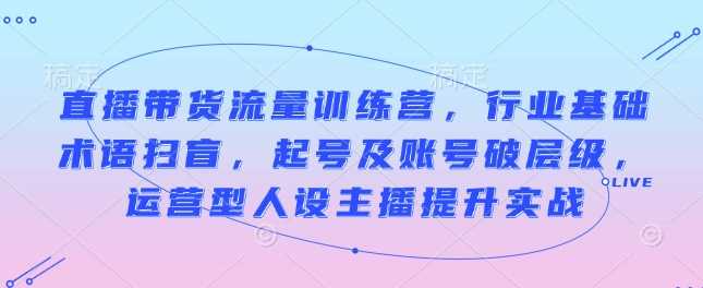 直播带货流量训练营，行业基础术语扫盲，起号及账号破层级，运营型人设主播提升实战-来友网创