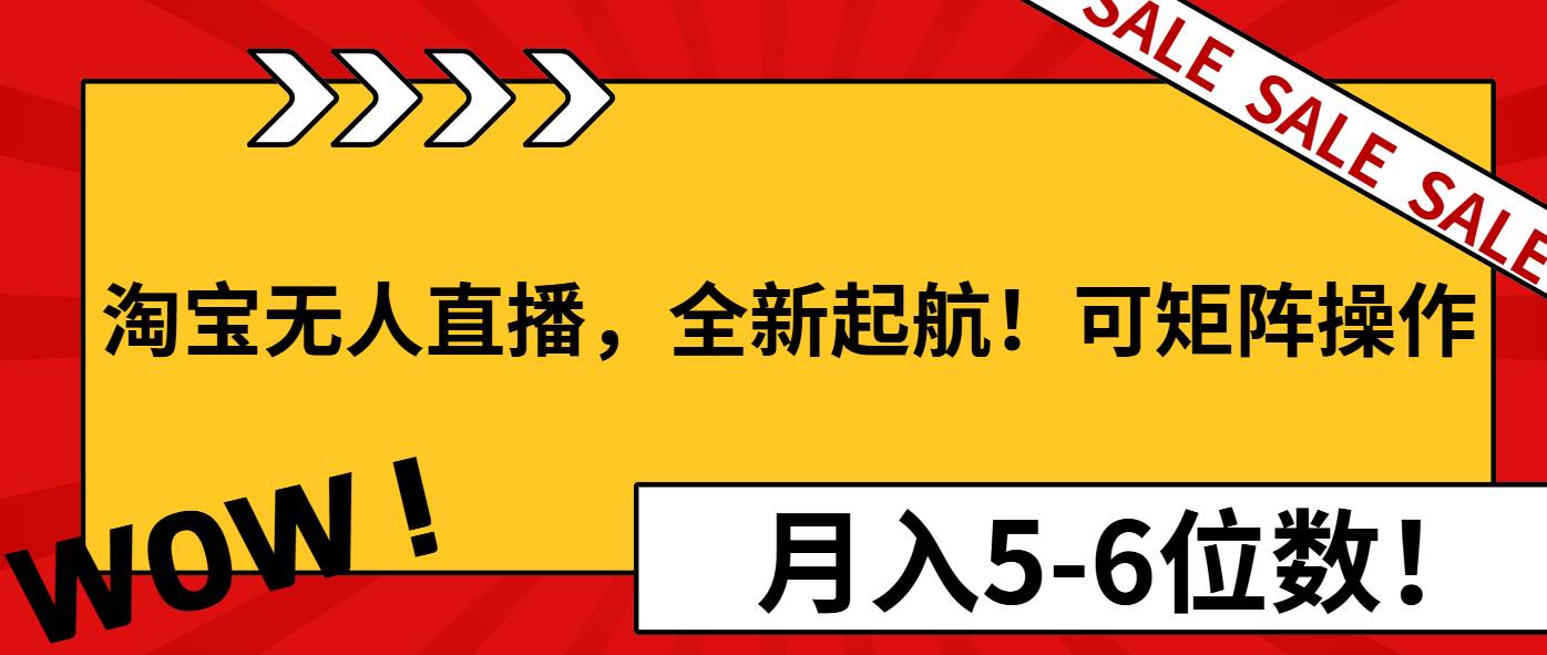 （13946期）淘宝无人直播，全新起航！可矩阵操作，月入5-6位数！-来友网创