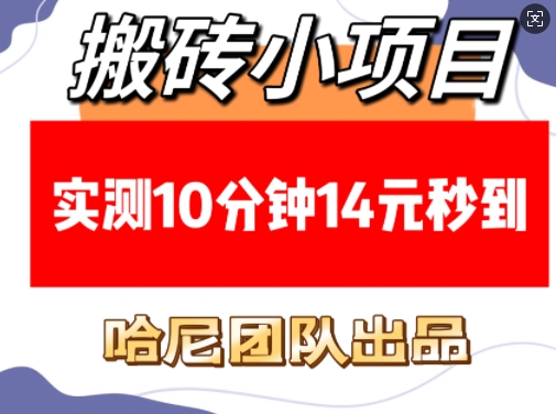 搬砖小项目，实测10分钟14元秒到，每天稳定几张(赠送必看稳定)-来友网创