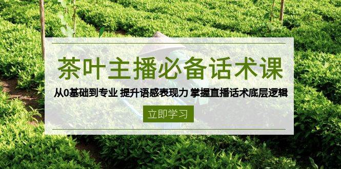 （13961期）茶叶 主播必备话术课 从0基础到专业 提升语感表现力 掌握直播话术底层逻辑-来友网创