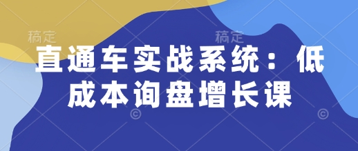 直通车实战系统：低成本询盘增长课，让个人通过技能实现升职加薪，让企业低成本获客，订单源源不断-来友网创