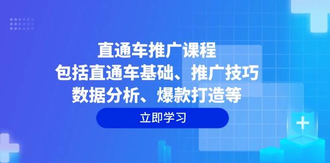 （14001期）直通车推广课程：包括直通车基础、推广技巧、数据分析、爆款打造等-来友网创