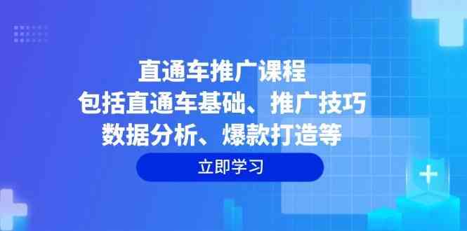 直通车推广课程：包括直通车基础、推广技巧、数据分析、爆款打造等-来友网创