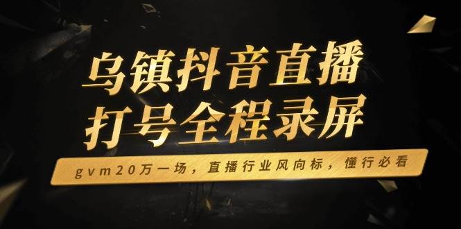 （14014期）乌镇抖音直播打号全程录屏，gvm20万一场，直播行业风向标，懂行必看-来友网创