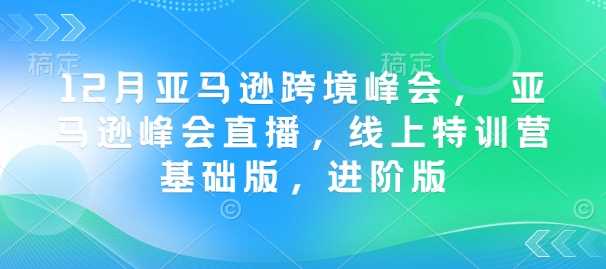 12月亚马逊跨境峰会， 亚马逊峰会直播，线上特训营基础版，进阶版-来友网创