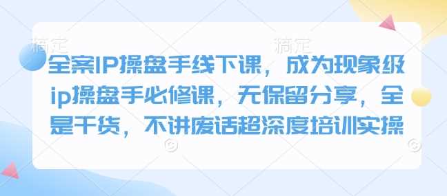 全案IP操盘手线下课，成为现象级ip操盘手必修课，无保留分享，全是干货，不讲废话超深度培训实操-来友网创