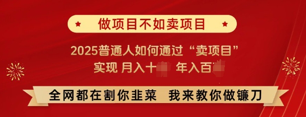 必看，做项目不如卖项目，2025普通人如何通过“卖项目”实现月入十个，年入百个-来友网创