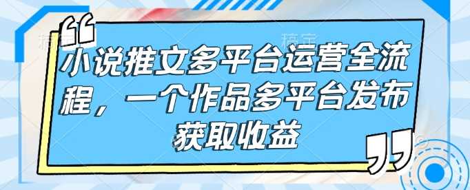 小说推文多平台运营全流程，一个作品多平台发布获取收益-来友网创