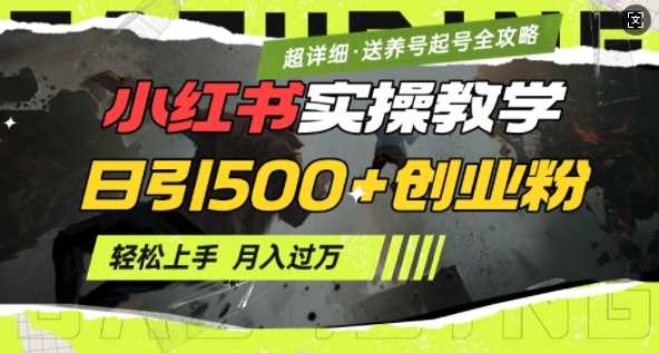 2月小红书最新日引500+创业粉实操教学【超详细】小白轻松上手，月入1W+，附小红书养号起号SOP-来友网创