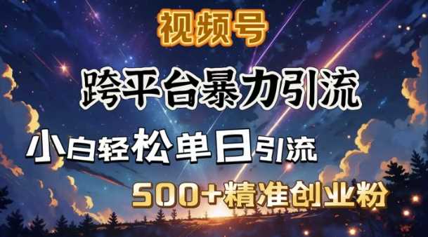 跨平台暴力引流，私域完美闭环，日引500+精准创业粉-来友网创