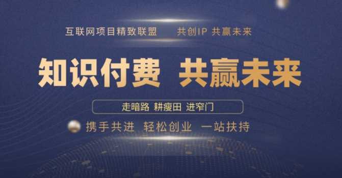 别人苦寻无果，为何他们靠知识付费卖项目 2025 年轻松年入100个?【揭秘】-来友网创