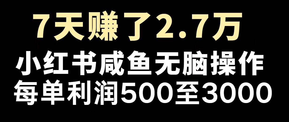 （14183期）最赚钱项目之一，2025爆火，逆风翻盘！-来友网创