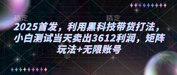 2025首发，利用黑科技带货打法，小白测试当天卖出3612利润，矩阵玩法+无限账号【揭秘】-来友网创