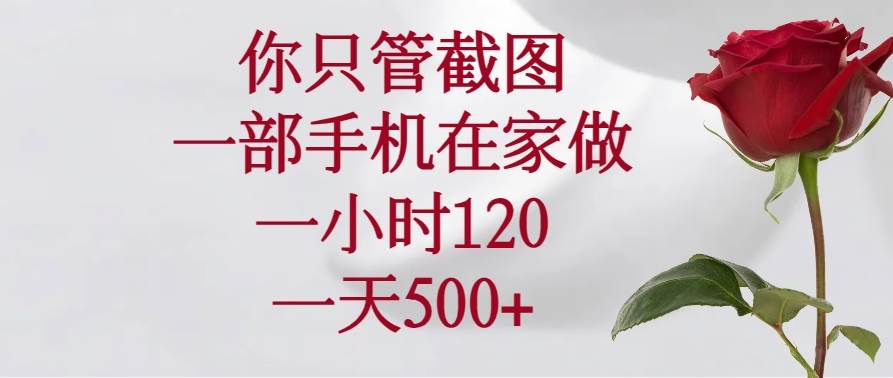 （14248期）你只管截图，一部手机在家做，一小时120，一天500+-来友网创