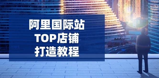 （14269期）阿里国际站TOP店铺打造教程：涵盖平台到高阶，解决运营难题，提升询盘-来友网创