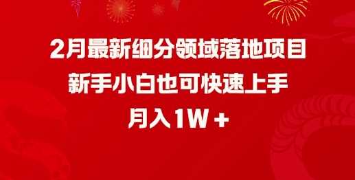 2月最新细分领域落地项目，新手小白也可快速上手，月入1W-来友网创