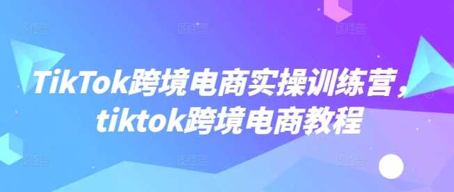 TikTok跨境电商实操训练营，tiktok跨境电商教程-来友网创