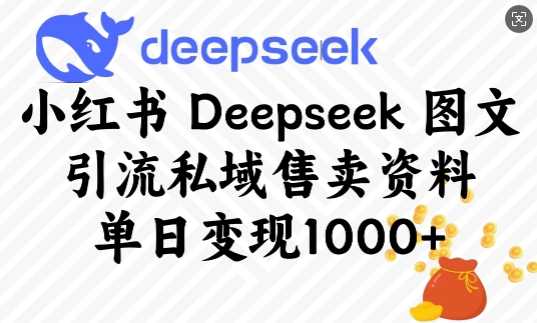 小红书Deepseek图文引流私域售卖资料，单日变现多张-来友网创