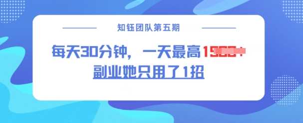 副业她只用了1招，每天30分钟，无脑二创，一天最高1.5k-来友网创