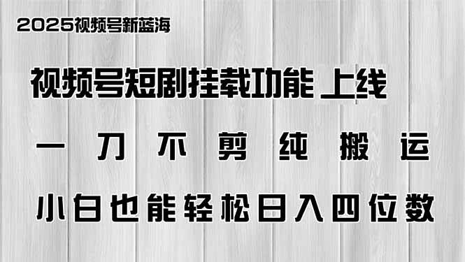 （14310期）视频号短剧挂载功能上线，一刀不剪纯搬运，小白也能轻松日入四位数-来友网创