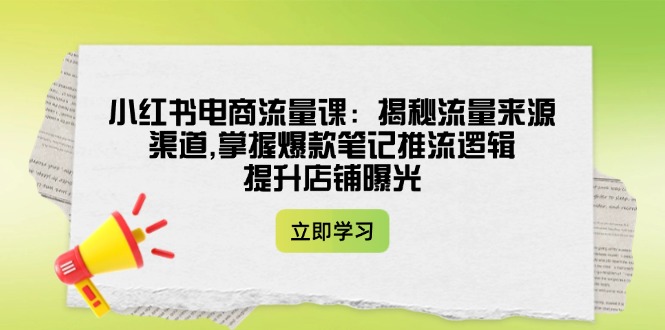 （14318期）小红书电商流量课：揭秘流量来源渠道,掌握爆款笔记推流逻辑,提升店铺曝光-来友网创