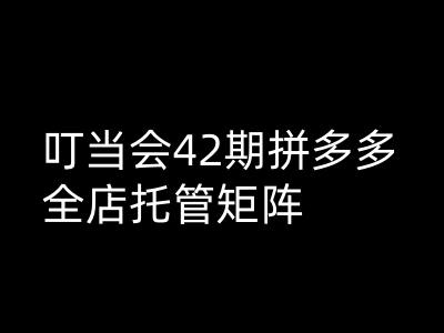 叮当会拼多多打爆班原创高阶技术第42期，拼多多全店托管矩阵-来友网创