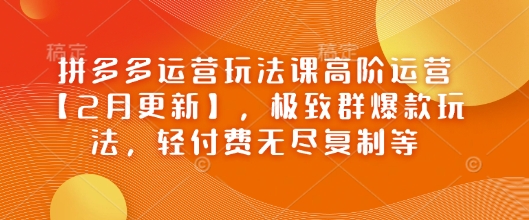 拼多多运营玩法课高阶运营【2月更新】，极致群爆款玩法，轻付费无尽复制等-来友网创