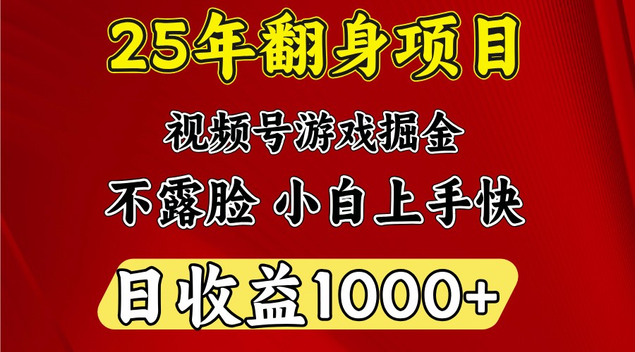 一天收益1000+ 25年开年落地好项目-来友网创