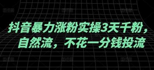 抖音暴力涨粉实操3天千粉，自然流，不花一分钱投流，实操经验分享-来友网创