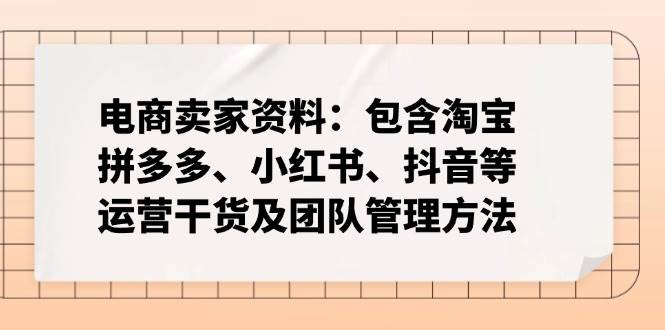 （14354期）电商卖家资料：包含淘宝、拼多多、小红书、抖音等运营干货及团队管理方法-来友网创