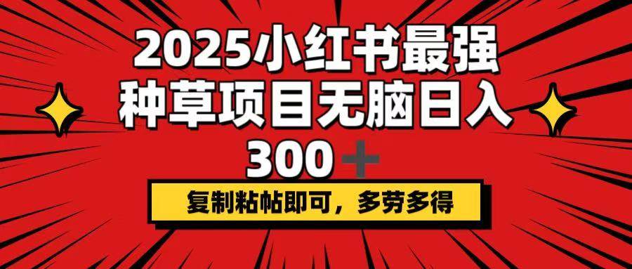 （14375期）2025小红书最强种草项目，无脑日入300+，复制粘帖即可，多劳多得-来友网创