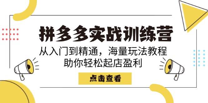 （14392期）拼多多实战训练营，从入门到精通，海量玩法教程，助你轻松起店盈利-来友网创