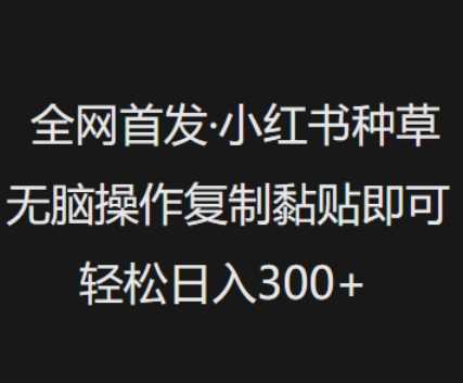 全网首发，小红书种草无脑操作，复制黏贴即可，轻松日入3张-来友网创