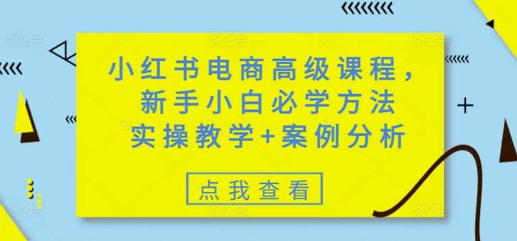 小红书电商高级课程，新手小白必学方法，实操教学+案例分析-来友网创