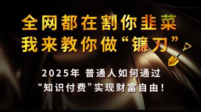 全网都在割你韭菜，我来教你做镰刀,2025普通人如何通过知识付费，实现财F自由【揭秘】-来友网创