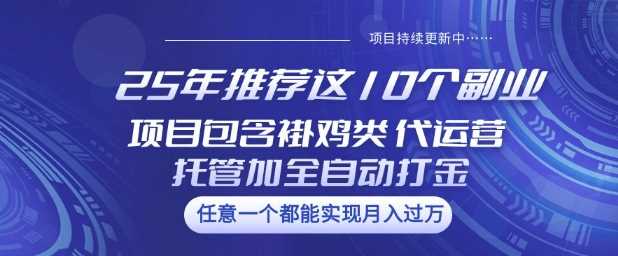 25年推荐这10个副业项目包含褂鸡类、代运营托管类、全自动打金类【揭秘】-来友网创