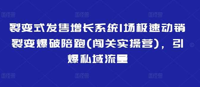 裂变式发售增长系统1场极速动销裂变爆破陪跑(闯关实操营)，引爆私域流量-来友网创