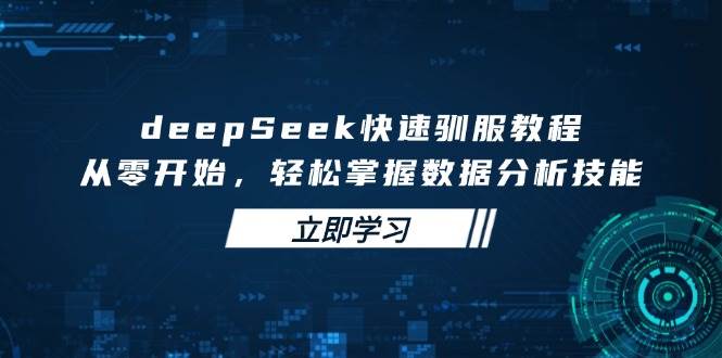 （14536期）deepSeek快速驯服教程，从零开始，轻松掌握数据分析技能-来友网创