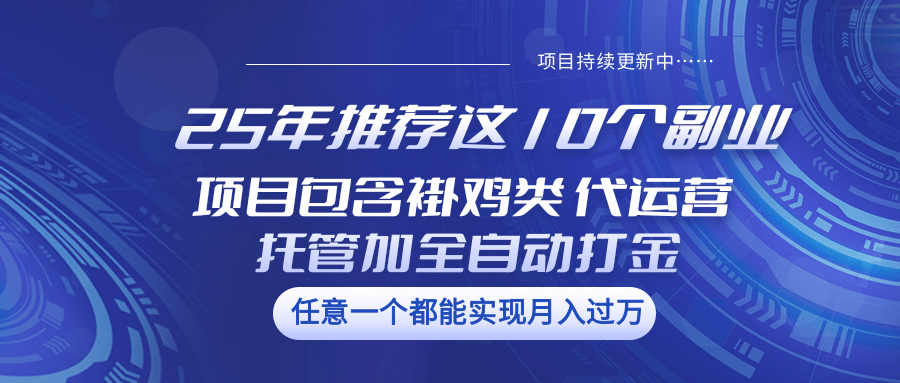 25年推荐这10个副业 项目包含褂鸡类、代运营托管类、全自动打金类-来友网创