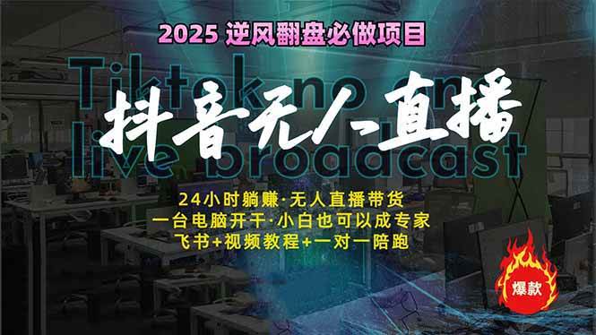 （14539期）抖音无人直播新风口：轻松实现睡后收入，一人管理多设备，24小时不间断…-来友网创