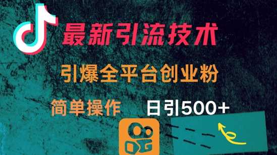 最新引流方法，引爆全平台的一个创业粉，简单操作日引300+-来友网创
