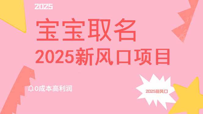 （14593期）2025新风口项目宝宝取名，0成本高利润，附保姆级教程，月入过万不是梦-来友网创