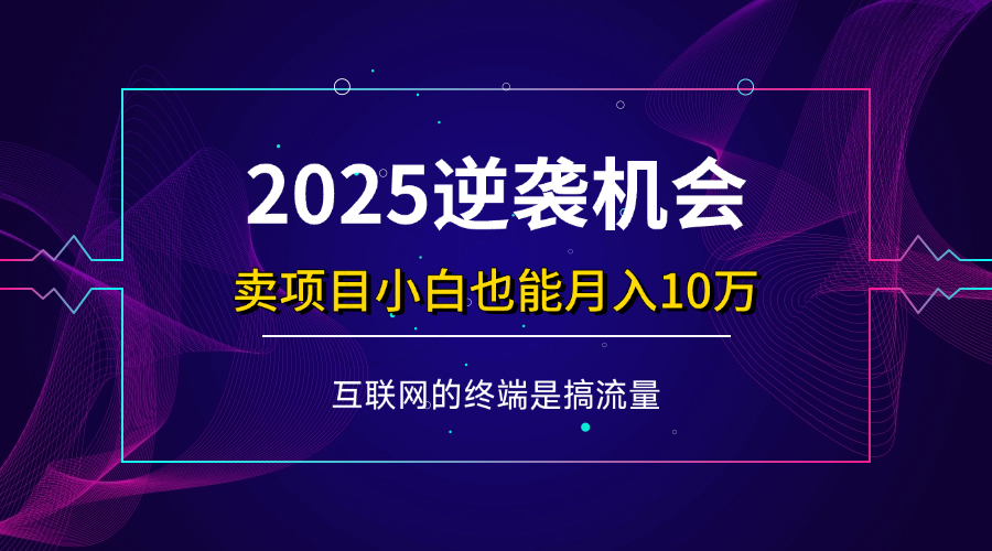 （14122期）项目标题：2025逆袭机会，卖项目小白也能轻松月入10万+-来友网创