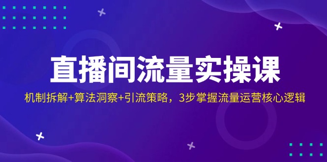 （14122期）直播间流量实操课：机制拆解+算法洞察+引流策略，3步掌握流量运营核心逻辑-来友网创