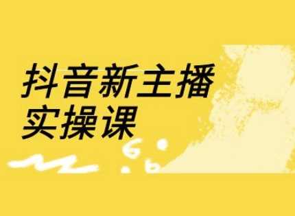 抖音新主播实操课，直播间流量运营线上实操课(18节)-来友网创