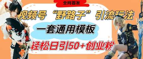 视频号“野路子”玩法，评论区疯狂截流，一套模板单日单号引流50+创业粉-来友网创