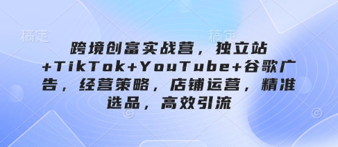 跨境创富实战营，独立站+TikTok+YouTube+谷歌广告，经营策略，店铺运营，精准选品，高效引流-来友网创